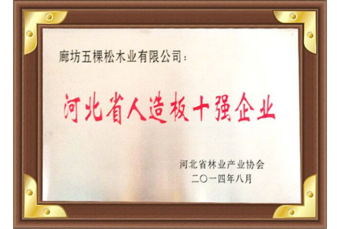 河北省人造板十強企業